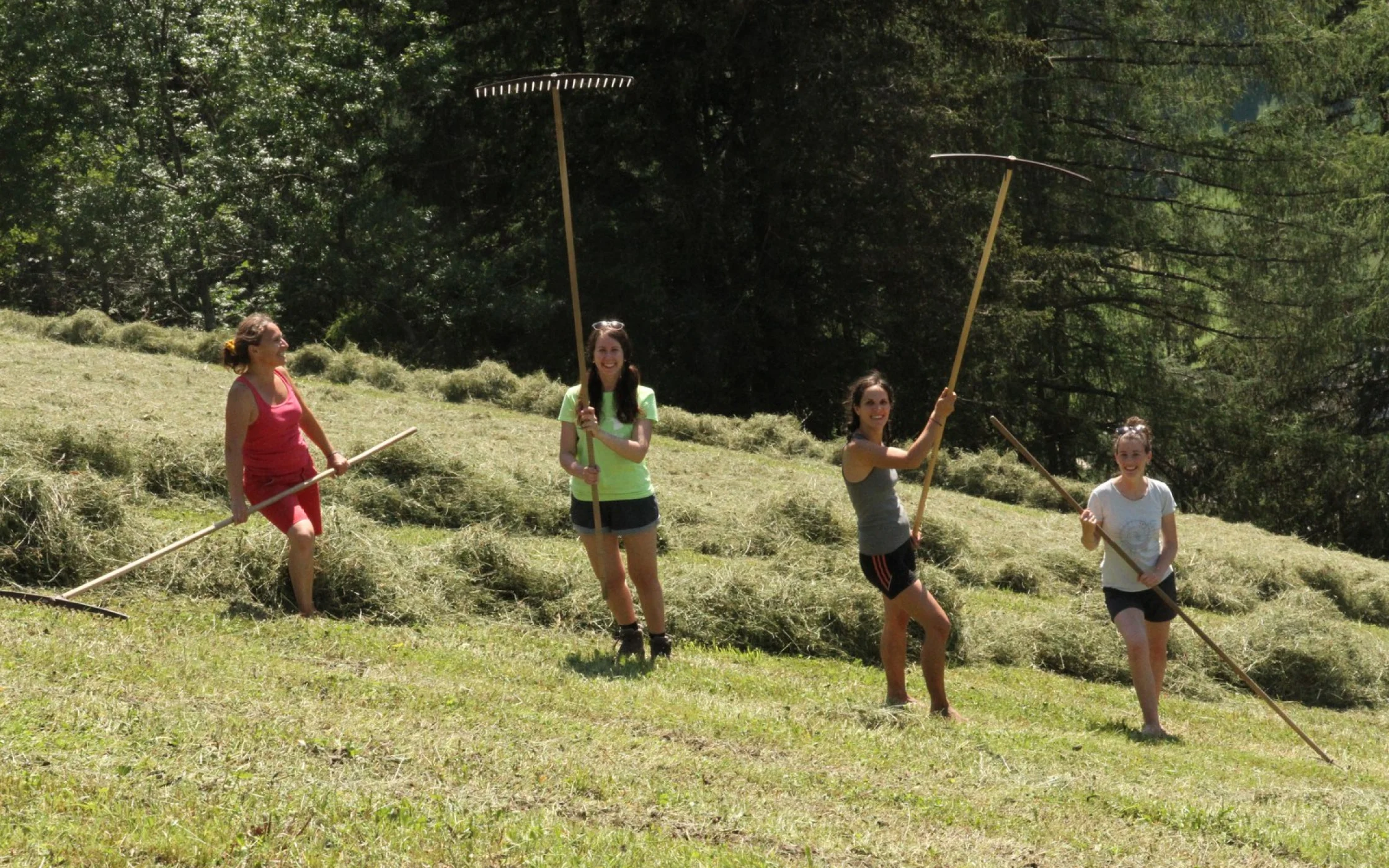 Teamtag SBO VFA  89_1600x1067.JPG